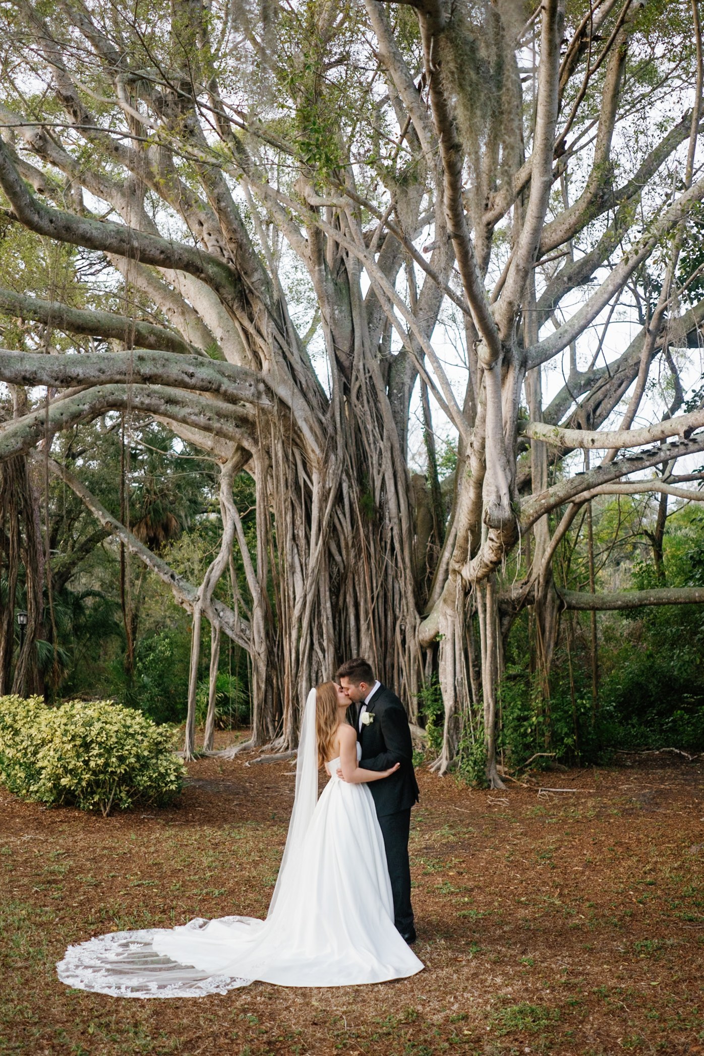 Newlyweds Beneath a Banyan Tree — After editing