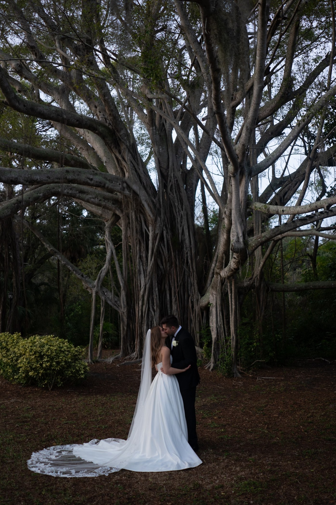 Newlyweds Beneath a Banyan Tree — Before editing