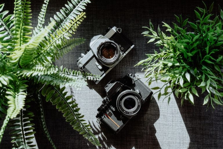 Digital Cameras that look like Film