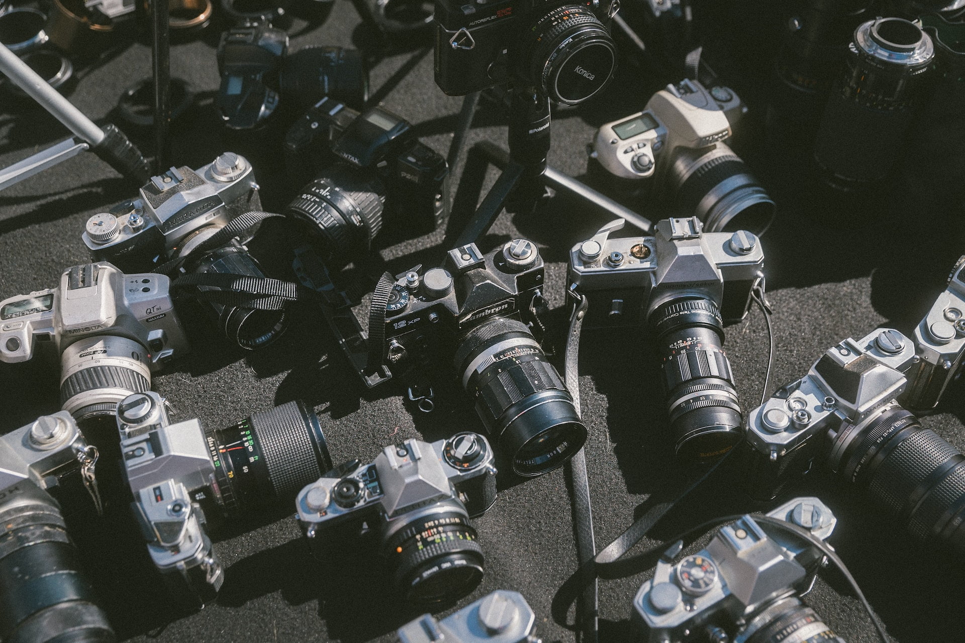 Best Film Cameras to Buy in 2022