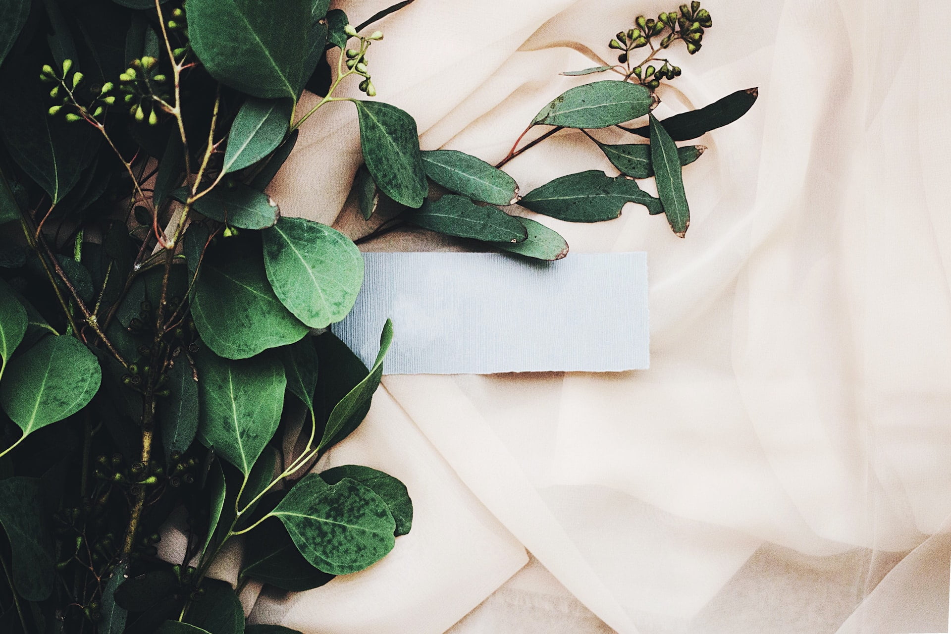 Tips to Build Your Wedding Photography Portfolio